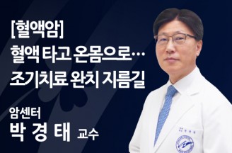 [혈액암] 혈액 타고 온몸으로… 조기치료 완치 지름길